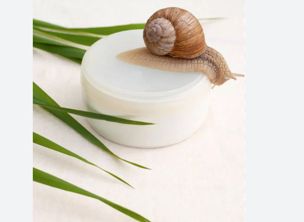 Snail Slime in Skincare