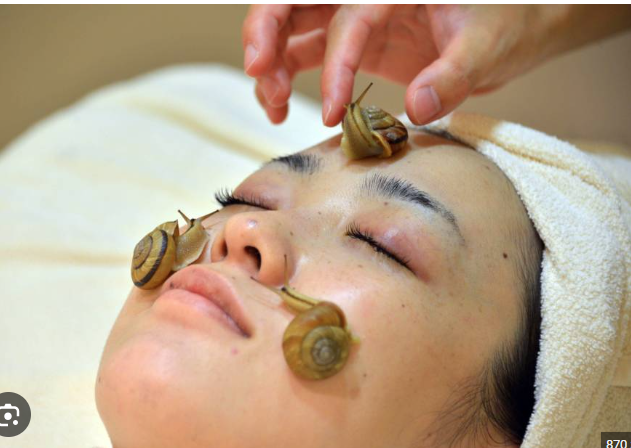 snail slime anti aging