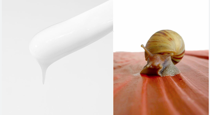 snail slime cream
